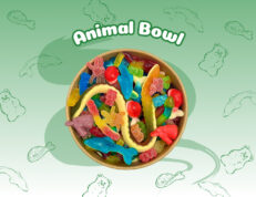 Animal Bowl