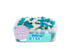 Baby Dolphins Tub