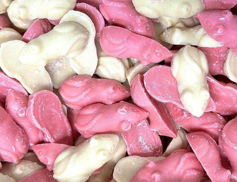 Pink-_-White-Mice