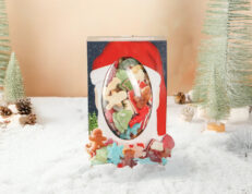 Santa Egghead (Christmas Mix)