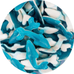 Blue Dolphin Sweets - Sweetzy