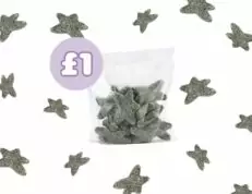 Salted Sea Stars - 100g (Netherlands)