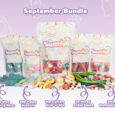 New bundle