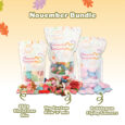 November-Bundle-V2
