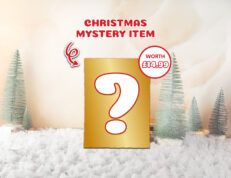 Christmas Mystery Product