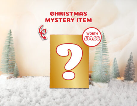 Christmas Mystery Product