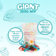 Giant Mix Website -250g