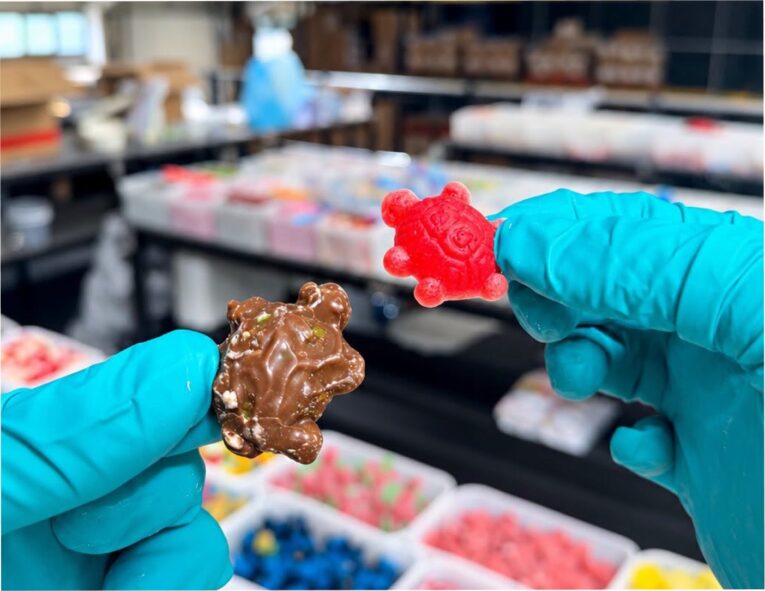 Jelly filled turtles pic