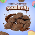 Seashells