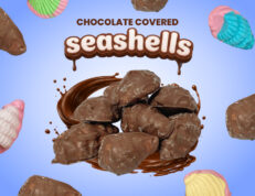 Chocolate Covered Sea Shells