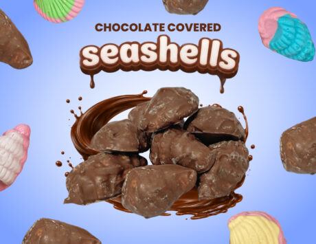 Chocolate Covered Sea Shells