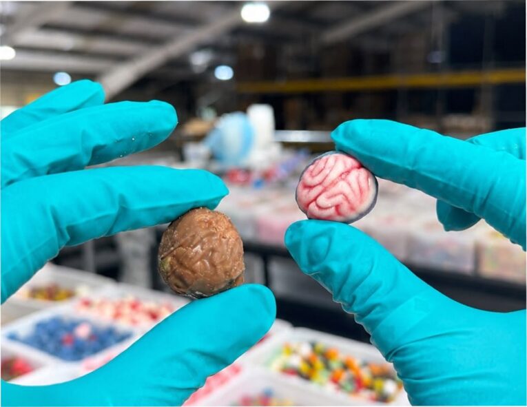 brains pic